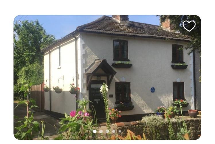 Cricketers Cottage B&B Западен Молинг Екстериор снимка